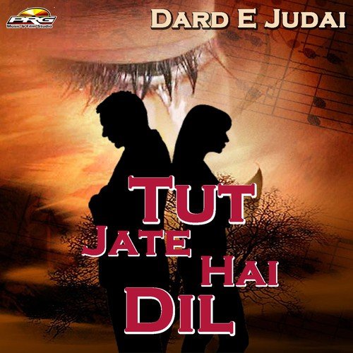 Humne Chaha Tujhe - Pravin Ravat