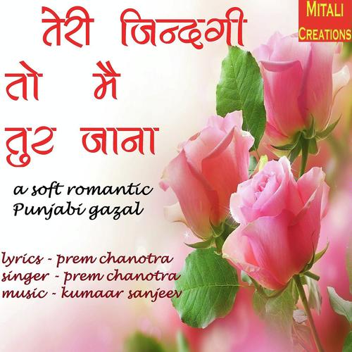 Teri Zindagi To Mai Tur Jaana - Prem Chanotra