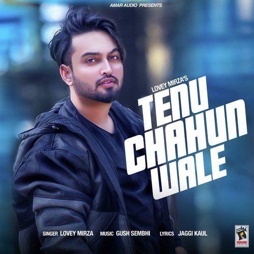 Tenu Chahun Wale - Lovey Mirza