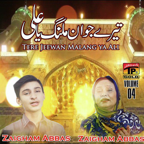 Mera Hussain Zindabad - Zaigham Abbas, Hub-e-Zehra
