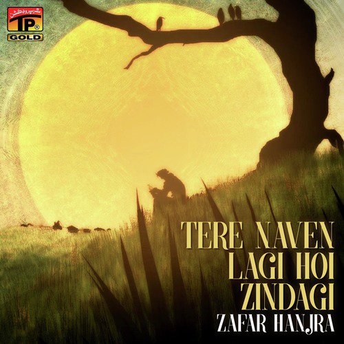 Assan Koi Kache Bande Hanin - Zafar Hanjra