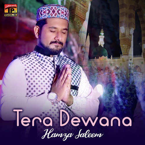 Tera Dewana - Hamza Saleem