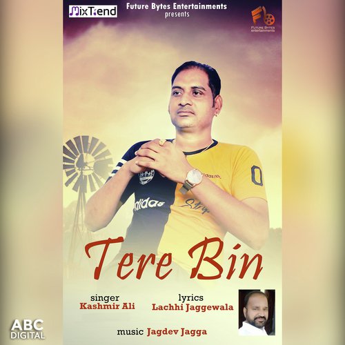 Tere Bin - Kashmir Ali
