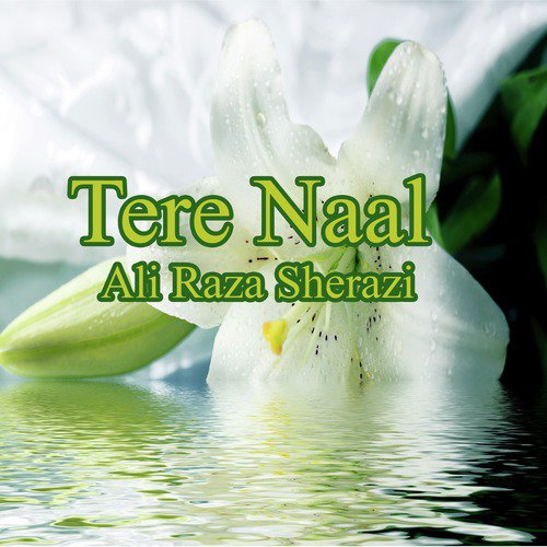 Tere Naal - Ali Raza Sherazi