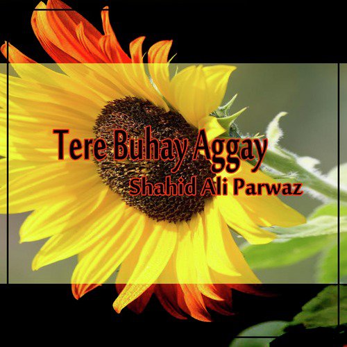 Teri Buhey Agey - Shahid Ali Parwaz