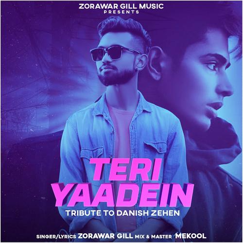 Teri Yaadein - Zorawar Gill