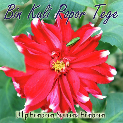 Bin Kuli Ropor Tege - Dilip Hembram, Sushama Hembram