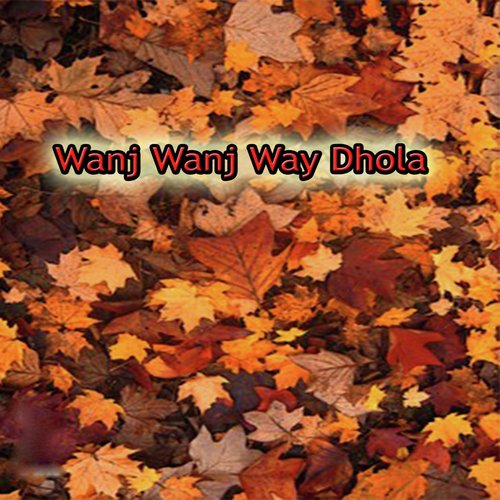 Wanj Wanj Way Dhola - Various Artists