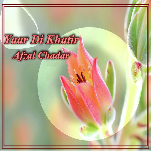 Yaar Di Khatir - Afzal Chadar