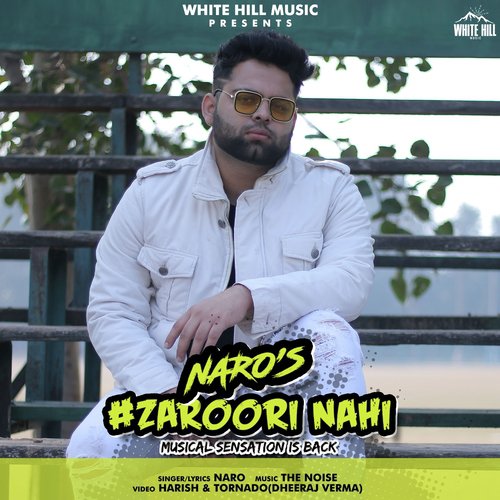 Zaroori Nahi - Naro