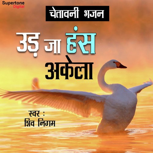 Udja Hans Akela - Vidhi Sharma