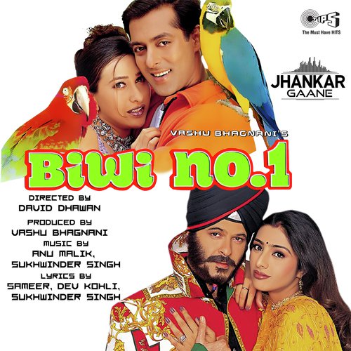 Chunnari Chunnari   Jhankar - Anu Malik