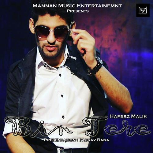 Bin tere - Hafeez Malik