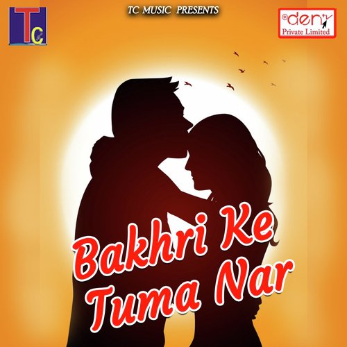 Dekho Aya Mera Baba - Various Artists