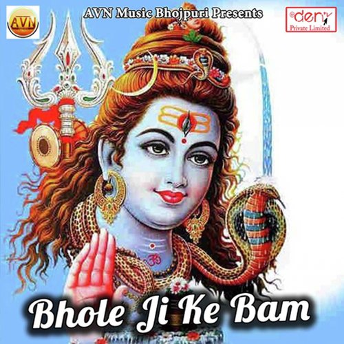 Navratra Me Kaise Upwas Rahelu - Various Artists
