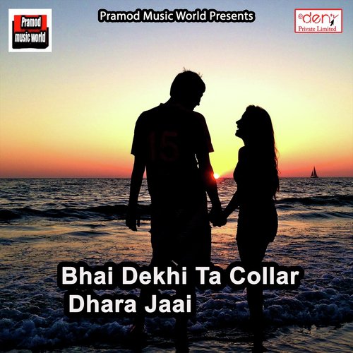 Bhola Ji Bujhi Pareshani - Various Artists