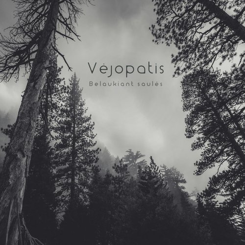 Plauku stygomis - Vejopatis