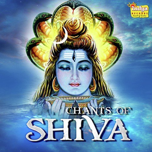 Om Namha Shivay - Various Artists