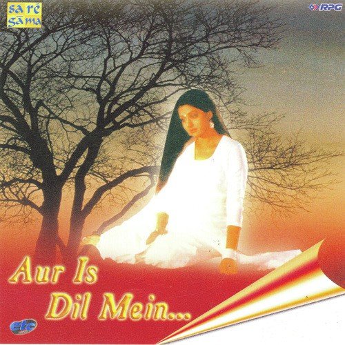 Aur Is Dil Mein - Various Artists