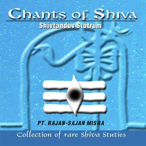 Pashupatyashtakam with Hindi Commentary - Various Artists