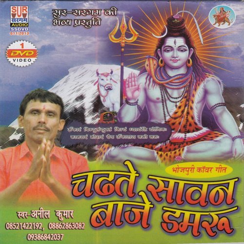 Sawan May Aini Devaghar Nagariya - Anil Kumar
