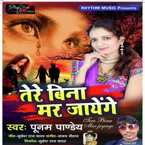 Tere Bina Mar Jayege - Yuvraj Mewadi