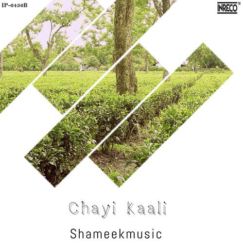 Chayi Kaali - Shameek Kundu