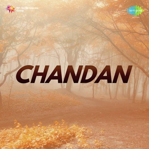 Nanha Sa Dil Deti Hoon Pardesi - S.N. Tripathi