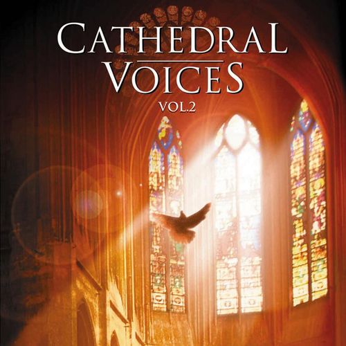 Jesu, meine Freude - chorale cantata (1994 Remastered Version) - Various Artists