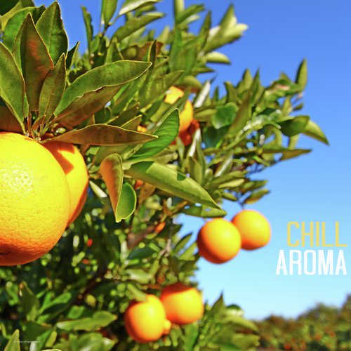 Cala guya - Various Artists