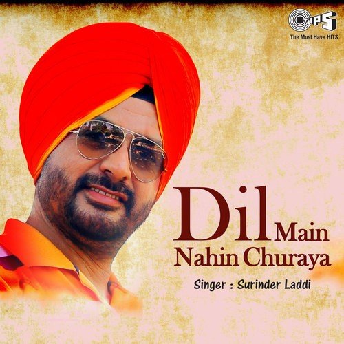 Haye Dub Janiye - Surinder Laddi