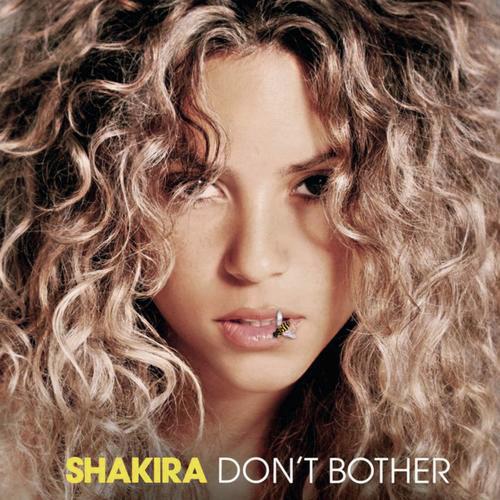 No (Album Version) - 