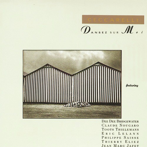 Din Dou.N13 (Album Version) - Andr Ceccarelli