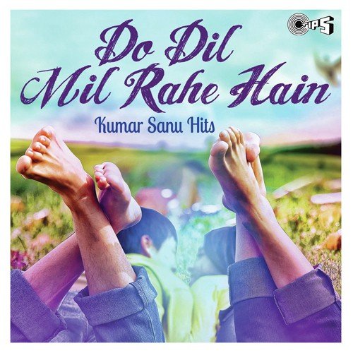 Jabse Main (Yeh Dil Aashiqana) - Kumar Sanu