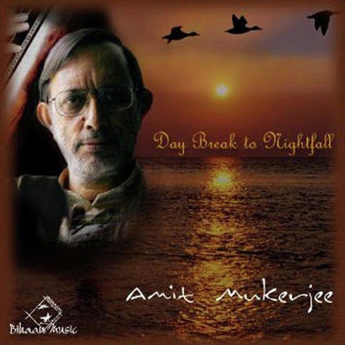 Raag Suha Tarana - Amit Mukherjee